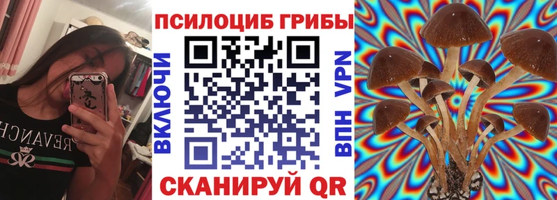 hydra ТОР  Каменка  Галлюциногенные грибы Magic Shrooms 